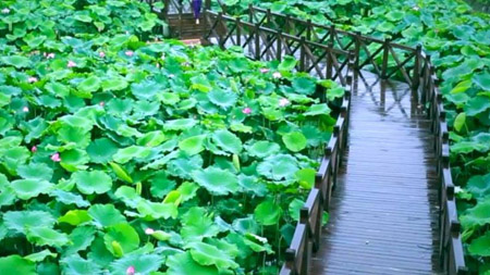 南充南部縣十大最好玩的地方，南部縣旅游景點(diǎn)有哪些