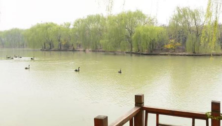 阜陽十大好玩的地方，阜陽有什么好玩的地方景點(diǎn)
